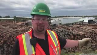 A video tour of EACOM’s century-old Timmins sawmill