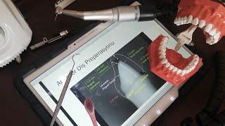 Anterior Diş Preparasyonu - Teorik Anlatım - Anterior Diş Kesimi