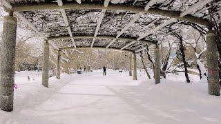 Walking in the Beautiful Deep Snowy Park Sapporo Hokkaido JAPAN  4K ASMR  Snowscape Ambience Snow