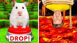 Hamster Maze vs Human Traps  World’s Most Extreme Elimination Game Last To Survive Minecraft Wins