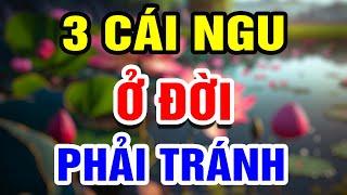 3 Cái Ngu Ở Đời Nên Tránh Càng Xa Càng Tốt  THHT