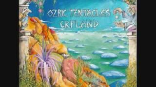 Ozric Tentacles - Eternal Wheel