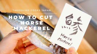 How to cut Horse Mackerel  SUSHI Training vol.1   Takoshiho Cooks Japan