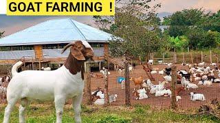 The COST Of Buying Profitable GOATS For Beginners  Farm Updates