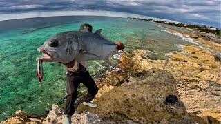  Action-Packed Adventure Hunting for Giant Fish in Paradise Pt.1