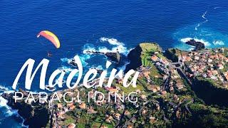 Madeira  Paragliding  Ozone Alpina 3