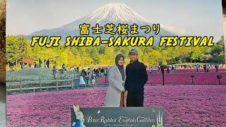 Taman di bawah gunung Fuji Jepang. Fuji shibazakura festival 2022 富士芝桜まつり2022年