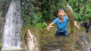 Orphan boy Nams uses his hands to catch carp from the stream to sell. How to catch fish primitively