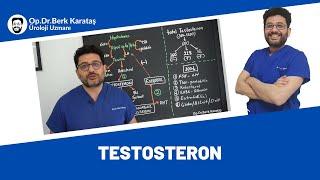 Testosteron