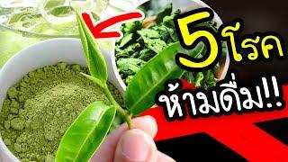 เสี่ยงสุขภาพพัง ถ้าป่วยด้วย5โรคต่อไปนี้ แล้วยังดื่มชาเขียว  Nava DIY