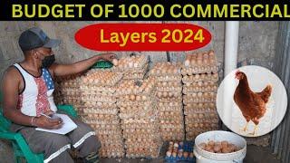 How to Start a 1000 Layer farm Budget Chicken farming Layers Farming