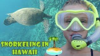 Snorkeling in Hawaii  WK 343.5  Bratayley