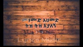 Mehamud Ahmed Tiz Tiz Eyalegn Music Lyrics Fidelመሃሙድ አህመድ  ትዝ ትዝ እያለኝ የሙዚቃ ግጥም ፊደል