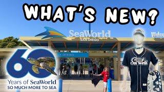 SEAWORLD UPDATE Whats New at SeaWorld San Diego - Wait Times Upcoming Events & Construction.
