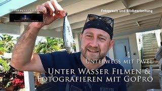 Unter Wasser Filmen und Fotografieren mit GoPro Hero 2 oder 3