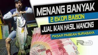 PERLAWANAN BABON BARRAMUNDI MEMANG BIKIN KETAGIHAN  II Jual ikan hasil mancing pertama kali - PART 2