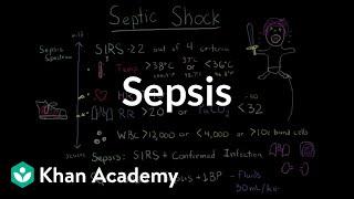 Sepsis Systemic inflammatory response syndrome SIRS to multiple organ dysfunction syndrome MODS