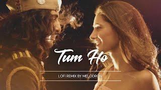 Tum Ho Lofi Remix  Chill Bollywood Vibes from Rockstar  Relaxing & Study Music  2024