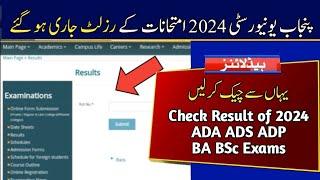 Check Result of ADA ADS ADP BA BSc 2024 Exams Punjab University  PU 2024 Exams Result Announced