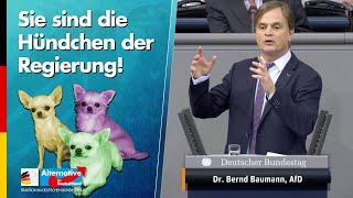 Sie sind die  Hündchen der  Regierung - Bernd Baumann - AfD-Fraktion im Bundestag