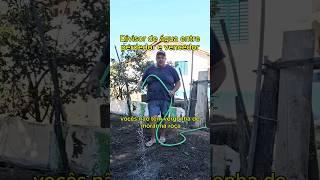 vergonha pra mim é isso #humor #sitio #shortvideos #viral #comedia #vidanaroça