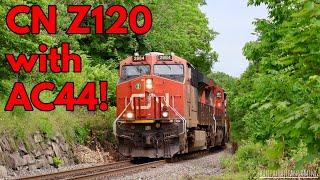 CN 2884 Leads Z120 Through Shore Drive Level Crossing Bedford NS.