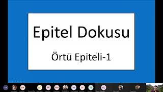 HİSTOLOJİ - Epitel Doku - Örtü epiteli