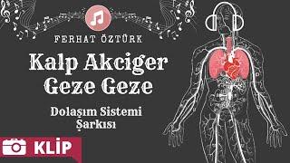 Dolaşım Sistemi Şarkısı - Kalp Akciğer Geze Geze