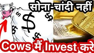 सोना-चांदी नहीं गायों पे invest करो Zimbabwe people investing in Cows rather than gold #amazingfacts