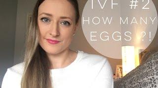 IVF #2 w ICSI  EGG COLLECTION & FERTILIZATION REPORT