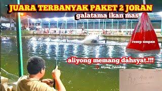 umpan ikan mas gacor‼️ kolam galatama ikan mas di palembang #GP-113