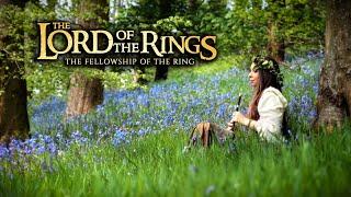 The Lord Of The Rings - Concerning Hobbits Shire theme beautiful middle earth music