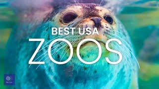 Amazing Zoos in the USA  FIND YOUR WILD SIDE in these Best Zoos in the USA 2020