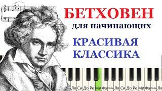  Как играть Бетховена Соната 17 КРАСИВАЯ и ПРОСТАЯ версия для начинающих