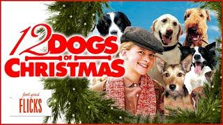 Feel Good Flicks Witness the Spirit of Christmas in 12 Dog Companions