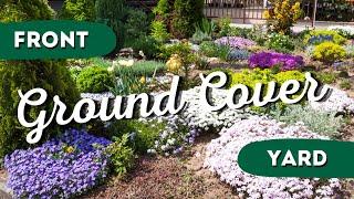 7 Ground Cover Plants for Front Yard Landscaping 