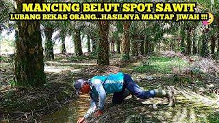 MANCING BELUT SPOT KEBUN SAWIT DI LUBANG BEKAS ORANG TERNYATA HASILNYA MANTAP JIWAH