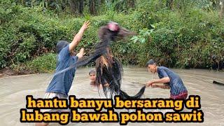 menemukan 2 hantu banyu sekaligus di bawah pohon sawit terbengkalai