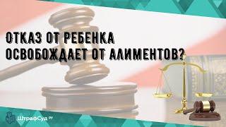 Отказ от ребенка освобождает от алиментов?