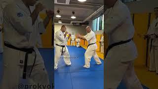 Jan Soukup #Kyokushin #Karate Training  KWU SENSHI camp 6.09.2024 Bulgaria