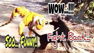 Soo Funny  FAKE TIGER PRANK DOG  TIGER VS DOG Funny  TIGER PRANK  Funny Video.