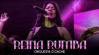 Orquesta Femenina D´cache - Reina Rumba Homenaje Celia Cruz  Salsa Para Bailar