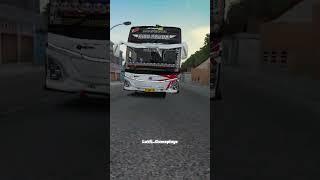 Tunggal Jaya Kids panda #basuri #basuriv3 #basuriv1 #bussid #busmania #eurotrucksimulator2 #ets2