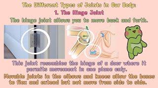  SCIENCE What are the Different Types of Joints?  #iQuestionPH