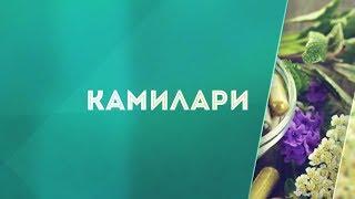 Камилари Kamilari Nupal - аюрведический целитель печени