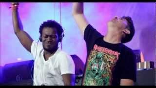 Skream and Benga - Live at Ultra Music Festival  Miami 24-3-12