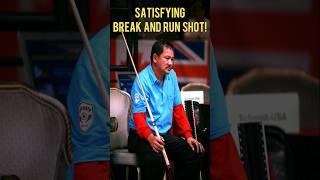 EFREN REYES VERY SATISFYING BREAK AND RUN SHOTS OF EFREN REYES #shorts #billiards #pool