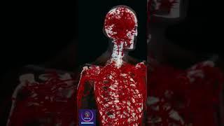 Cardiovascular System Animation #shorts