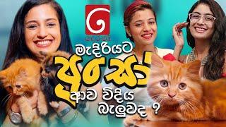 දෙරණ මැදිරියට පූසෝ ආව විදිය බැලුවද  FM Derana  Wageesha Salgado  Hansi Rasanga  Hirushi Jayasena