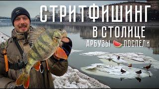 ТОЛСТЫЕ ОКУНИ Москвы СТРИТФИШИНГ. Весенняя рыбалка.